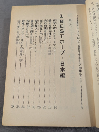 Bean Tanuki Book 178 Pro Wrestling BEST Hope 100 Burning Mat