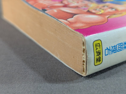 Bean Tanuki Book 178 Pro Wrestling BEST Hope 100 Burning Mat