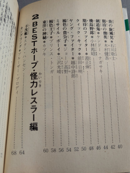Bean Tanuki Book 178 Pro Wrestling BEST Hope 100 Burning Mat