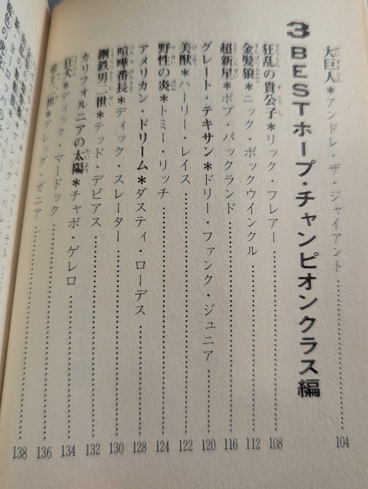 Bean Tanuki Book 178 Pro Wrestling BEST Hope 100 Burning Mat