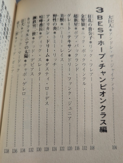Bean Tanuki Book 178 Pro Wrestling BEST Hope 100 Burning Mat
