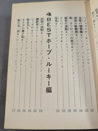 Bean Tanuki Book 178 Pro Wrestling BEST Hope 100 Burning Mat
