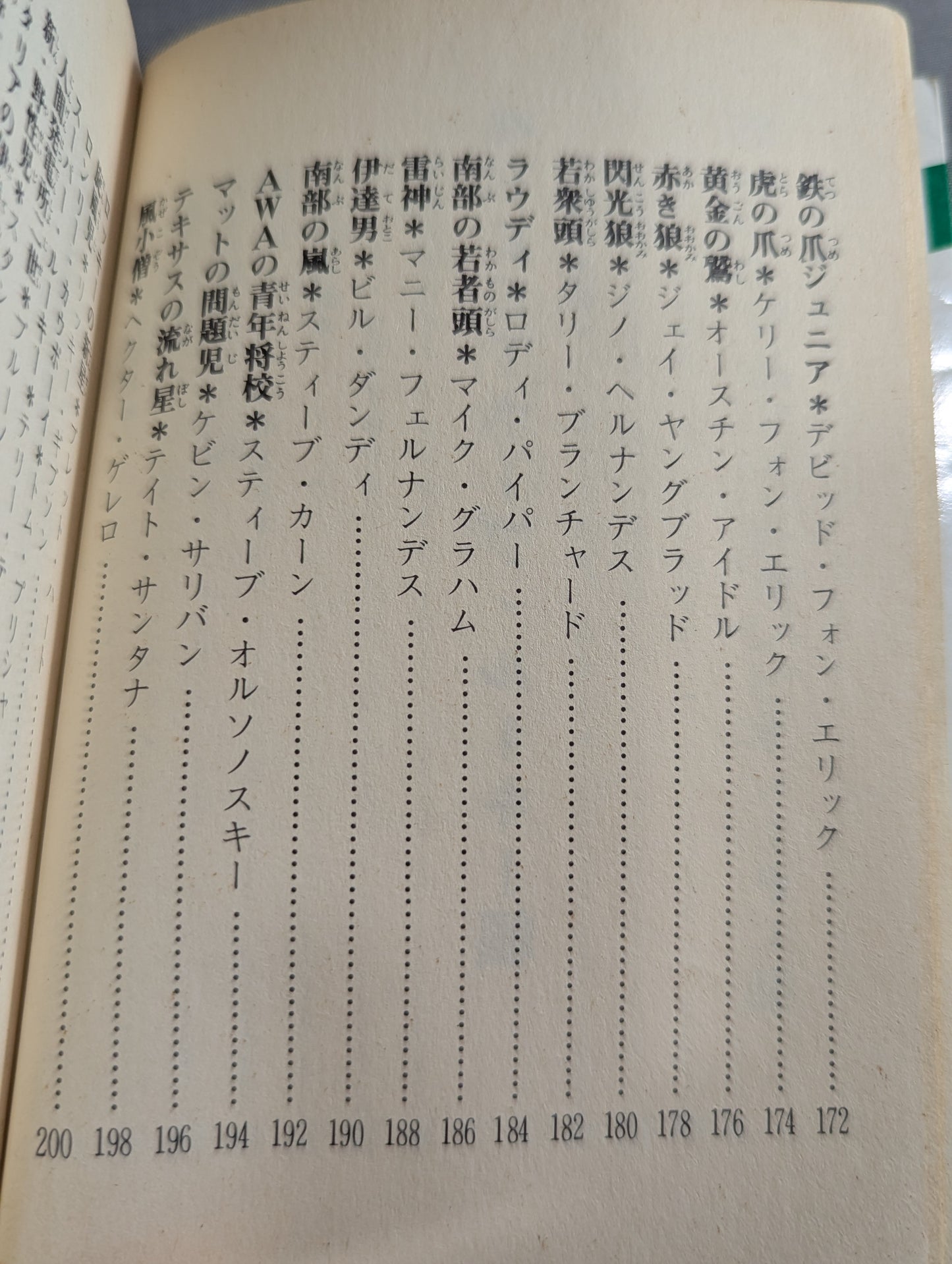 Bean Tanuki Book 178 Pro Wrestling BEST Hope 100 Burning Mat
