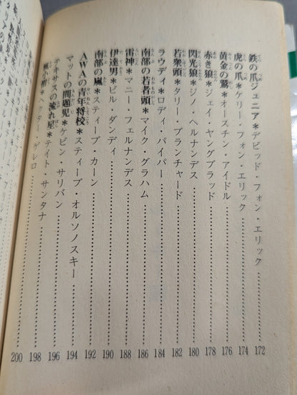 Bean Tanuki Book 178 Pro Wrestling BEST Hope 100 Burning Mat