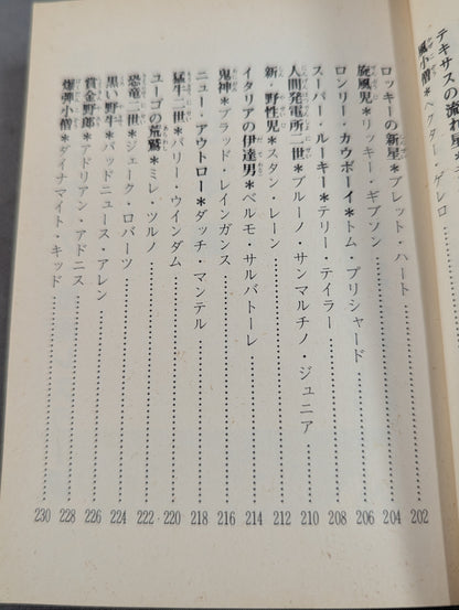 Bean Tanuki Book 178 Pro Wrestling BEST Hope 100 Burning Mat