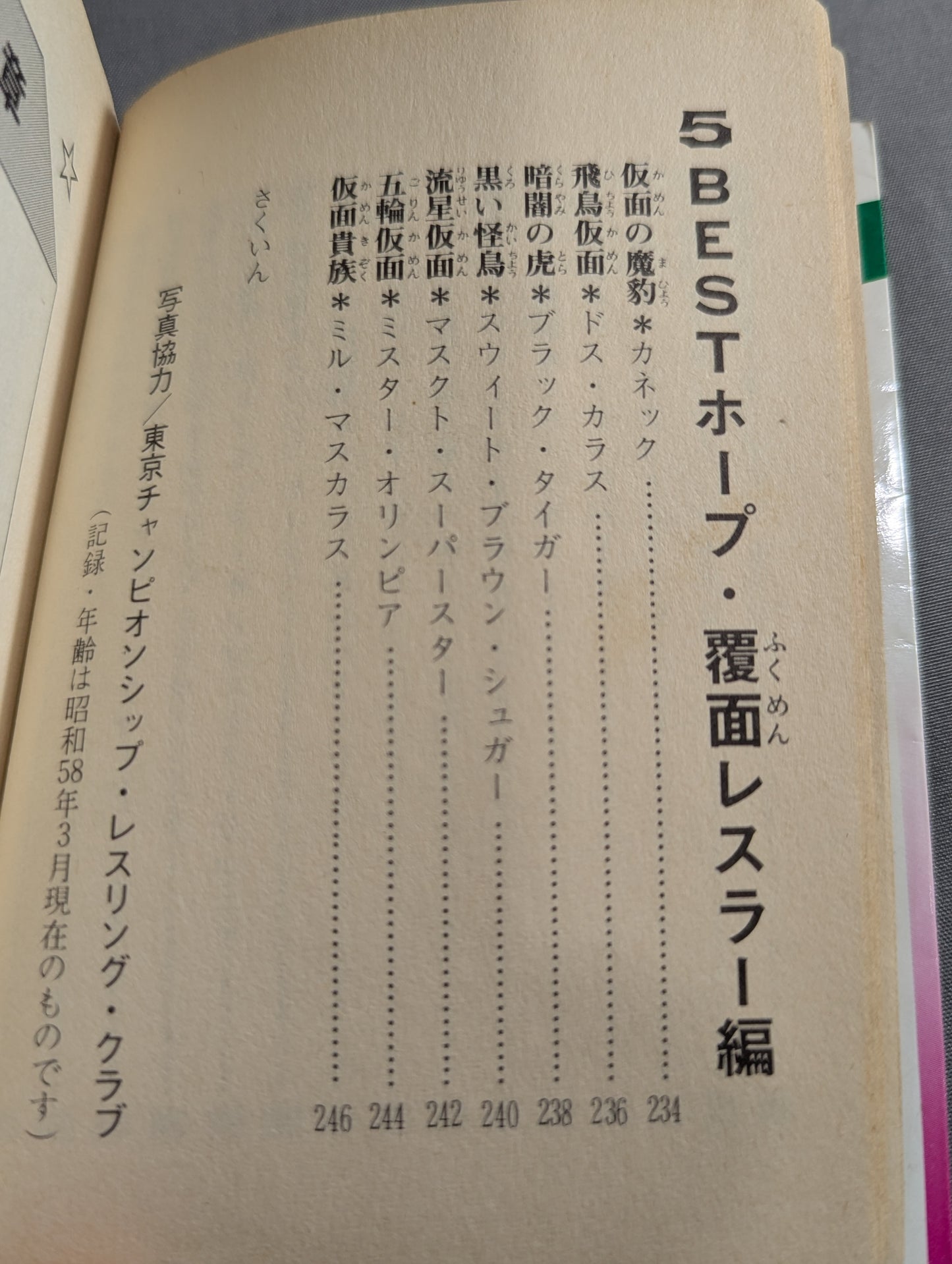 Bean Tanuki Book 178 Pro Wrestling BEST Hope 100 Burning Mat
