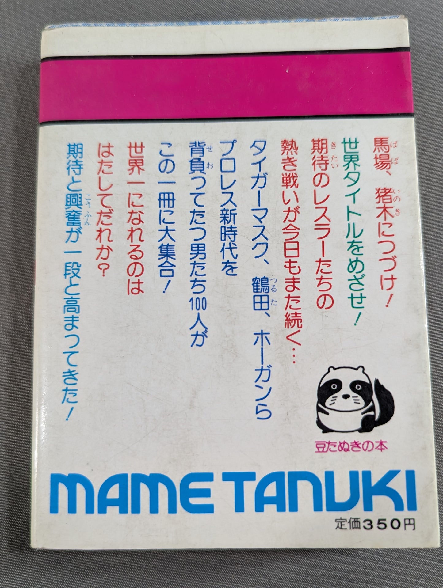 Bean Tanuki Book 178 Pro Wrestling BEST Hope 100 Burning Mat