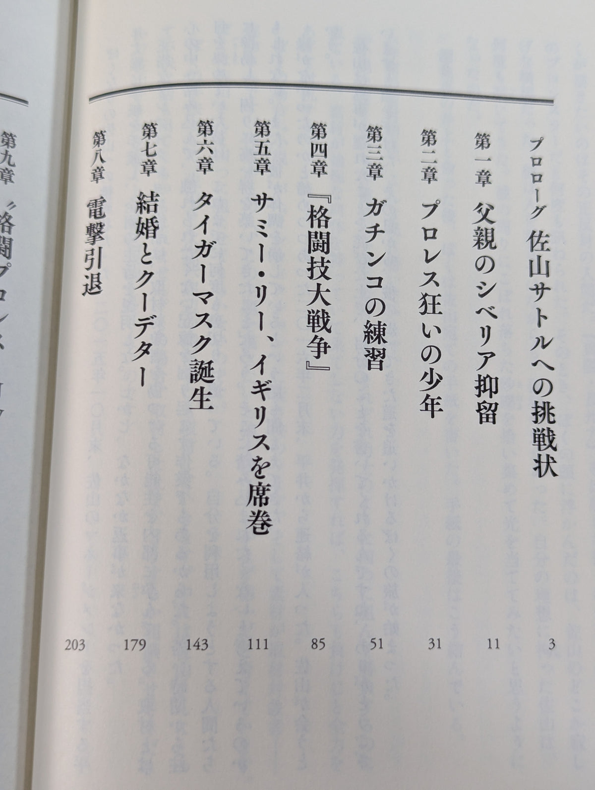 True theory: Satoru Sayama  The Man Called Tiger Mask
