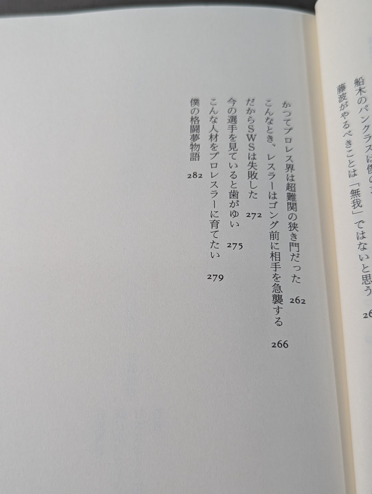 Who's the Strongest: Pro Wrestling  Without Taboos