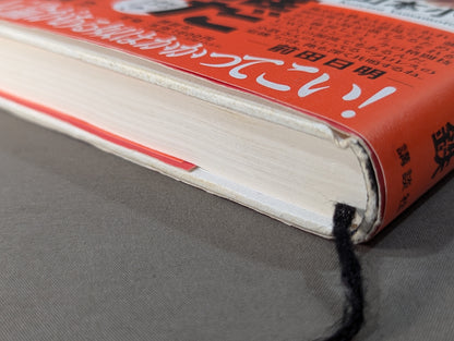 Who's the Strongest: Pro Wrestling  Without Taboos