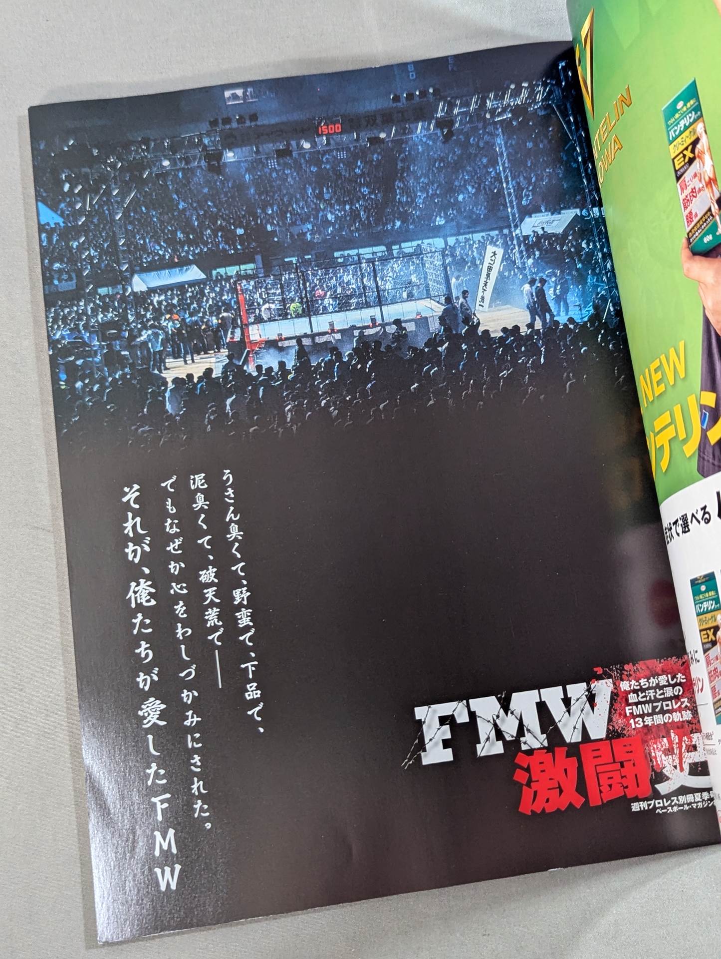 FMW激闘史