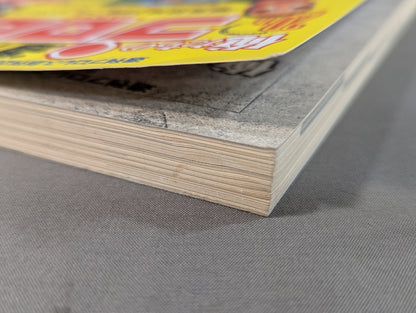 俺たちの週刊プロレスPART2 『編集部発25時』プレイバック 灼熱の90年代編(創刊10周年～15周年まで)
