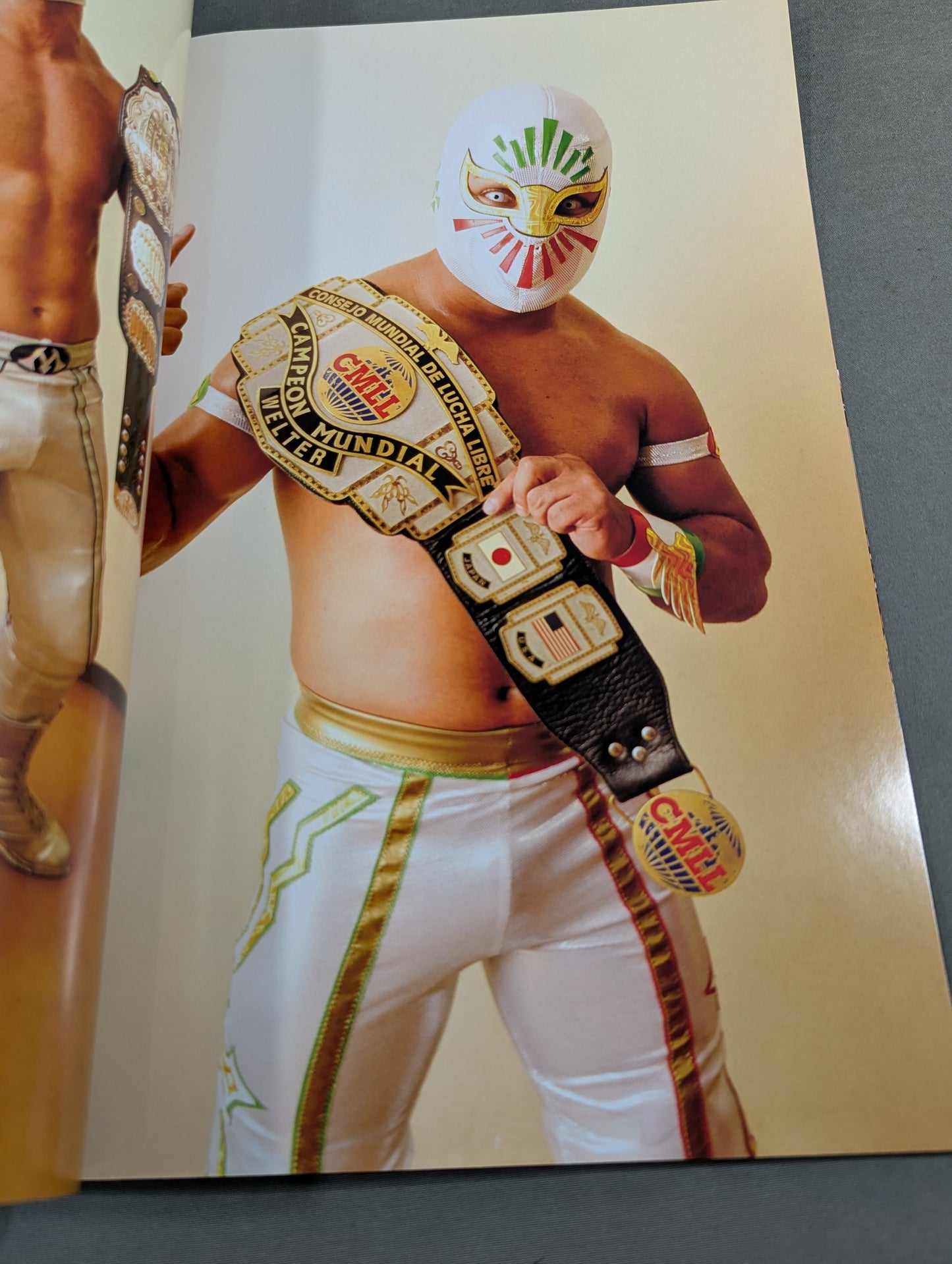 FOTOLIBRE de Mascara Numero.11