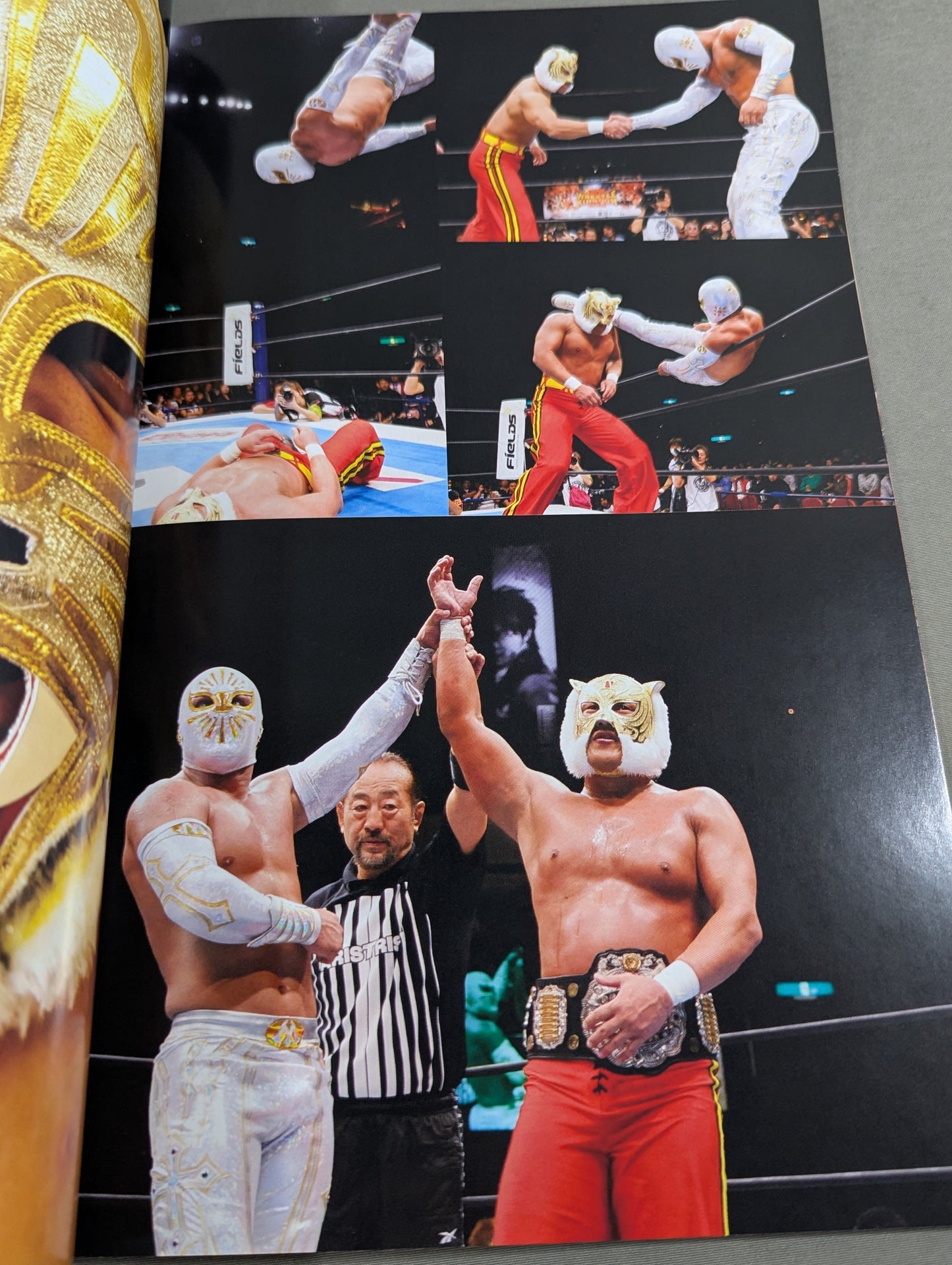 FOTOLIBRE de Mascara Numero.11