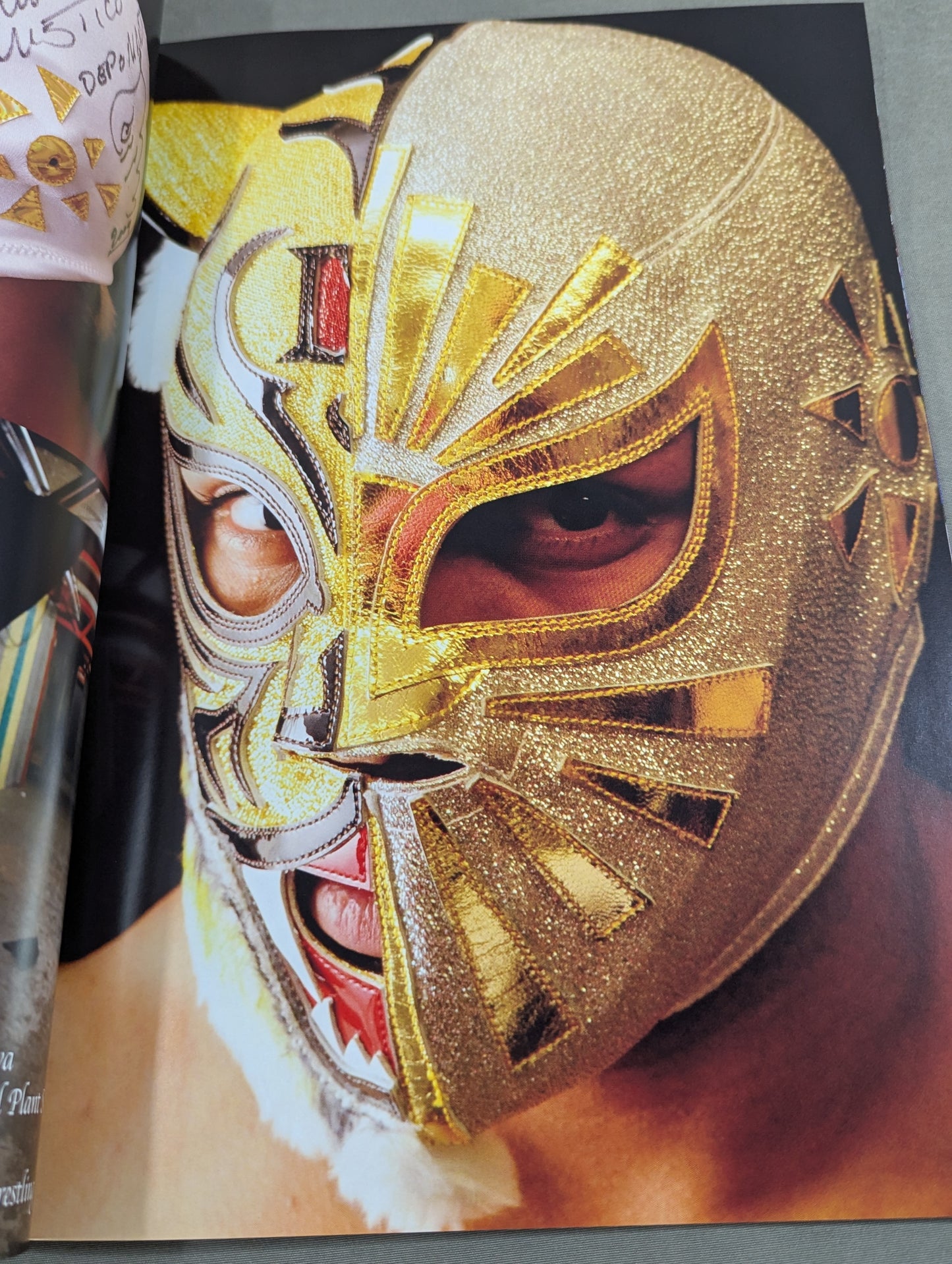 FOTOLIBRE de Mascara Numero.11