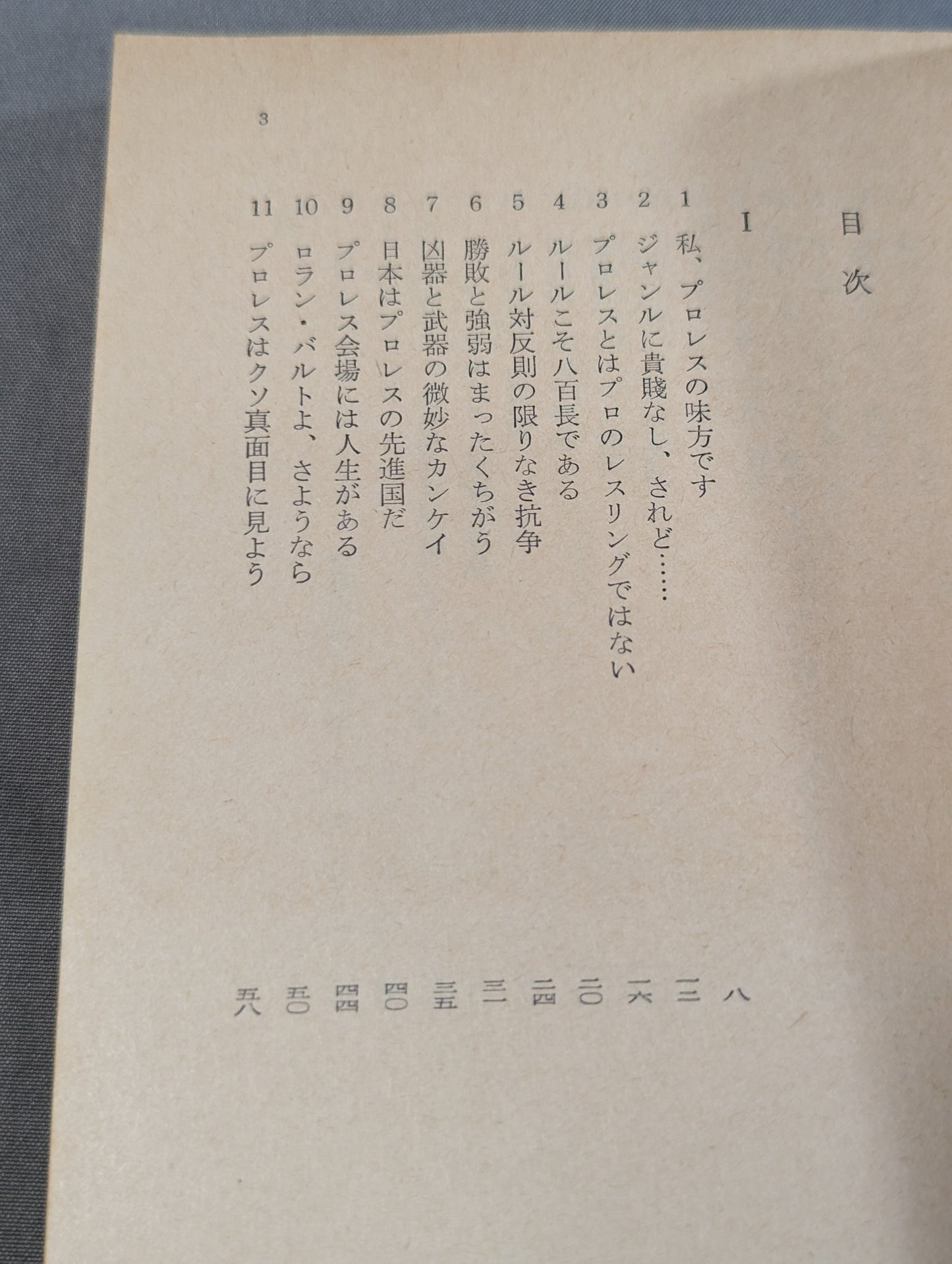 私､プロレスの味方です