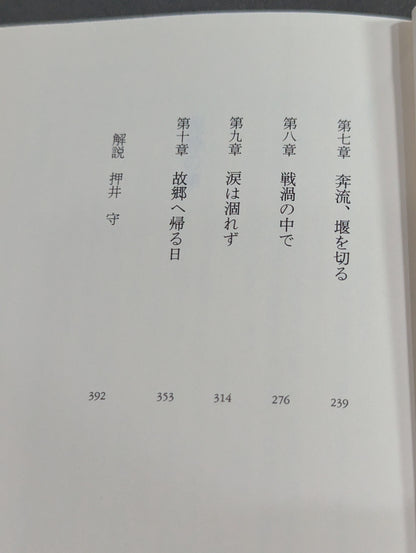 Fist of Yizhen