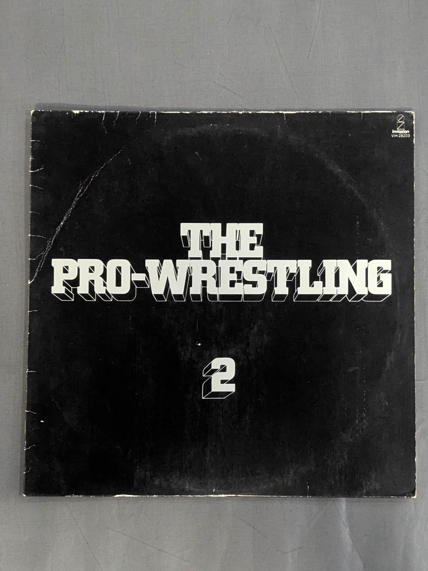 The Pro-wrestling  2