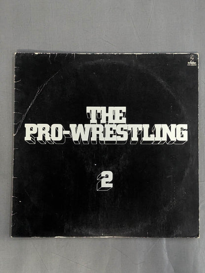 The Pro-wrestling  2