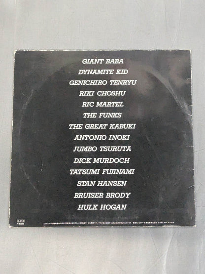 The Pro-wrestling  2