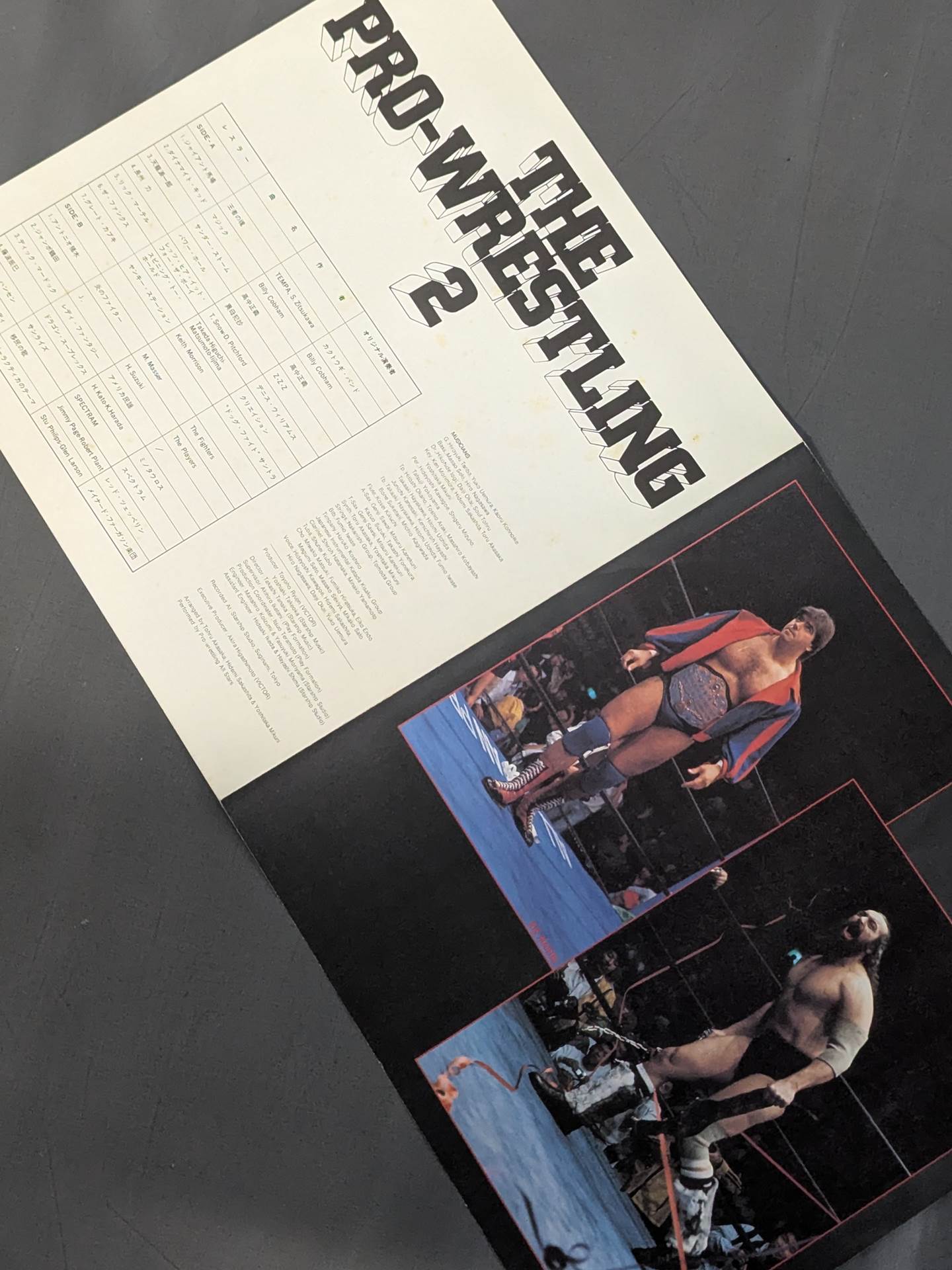 The Pro-wrestling  2