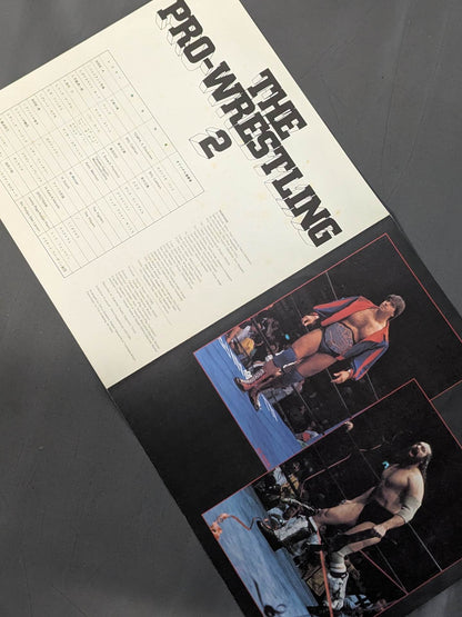 The Pro-wrestling  2