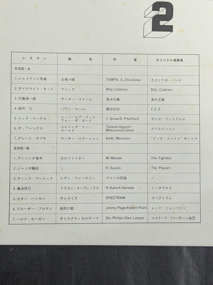 The Pro-wrestling  2