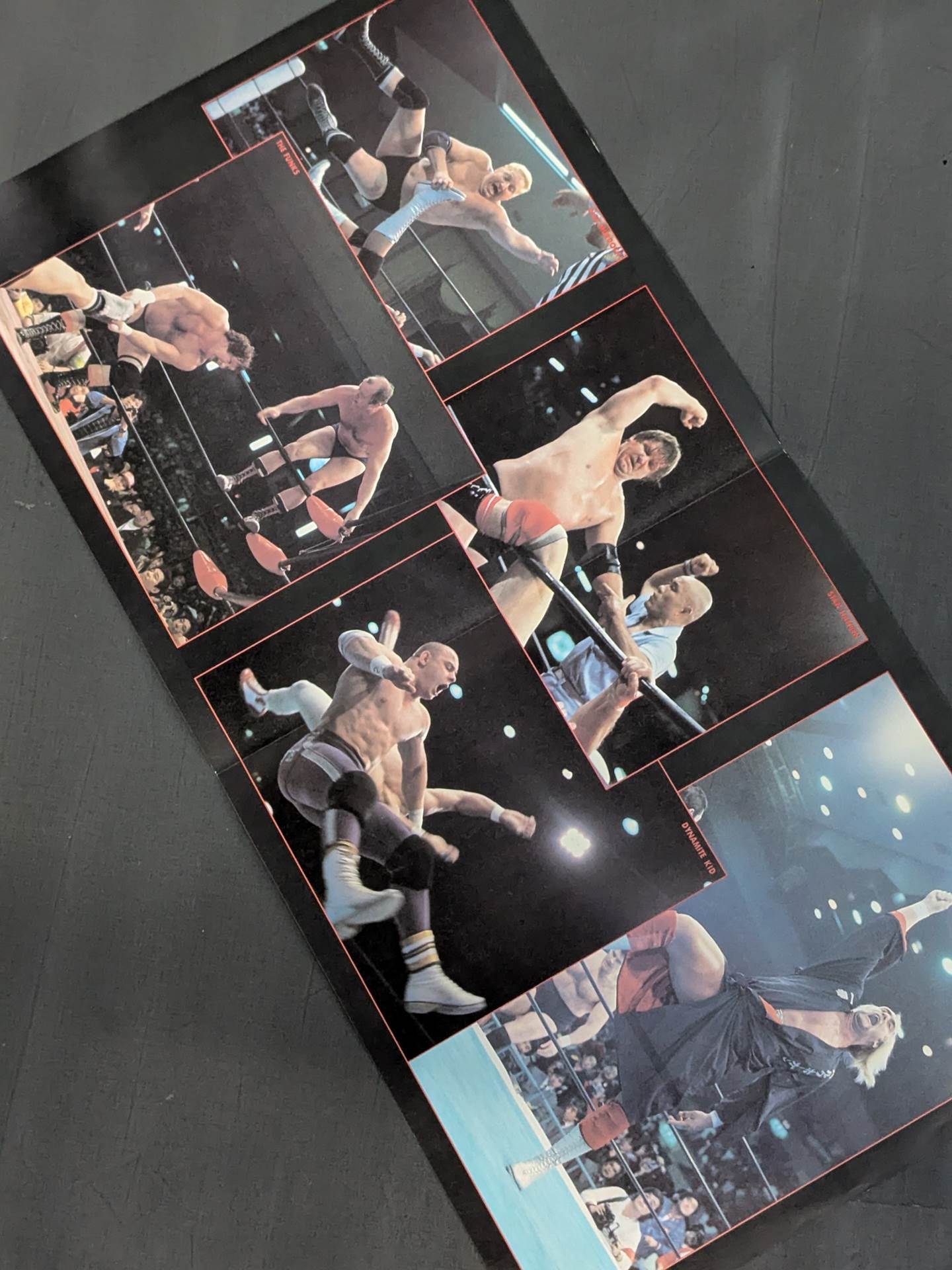 The Pro-wrestling  2