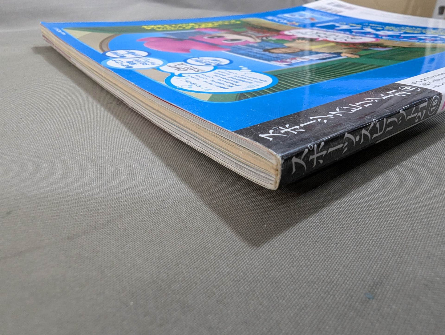 The Mystery and Truth of The Masked Man World "Masked Wrestler"