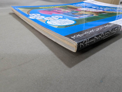 The Mystery and Truth of The Masked Man World "Masked Wrestler"