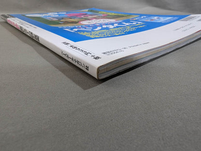 The Mystery and Truth of The Masked Man World "Masked Wrestler"