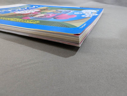 The Mystery and Truth of The Masked Man World "Masked Wrestler"