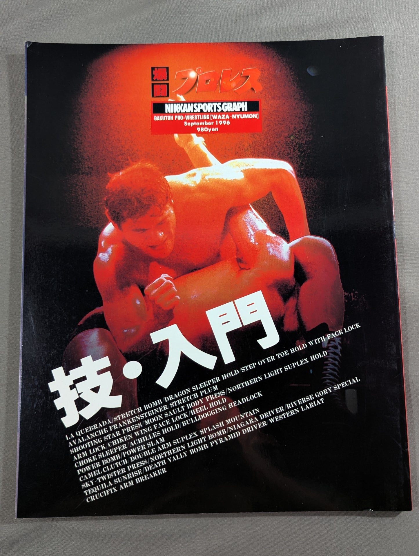 爆闘プロレス 技・入門