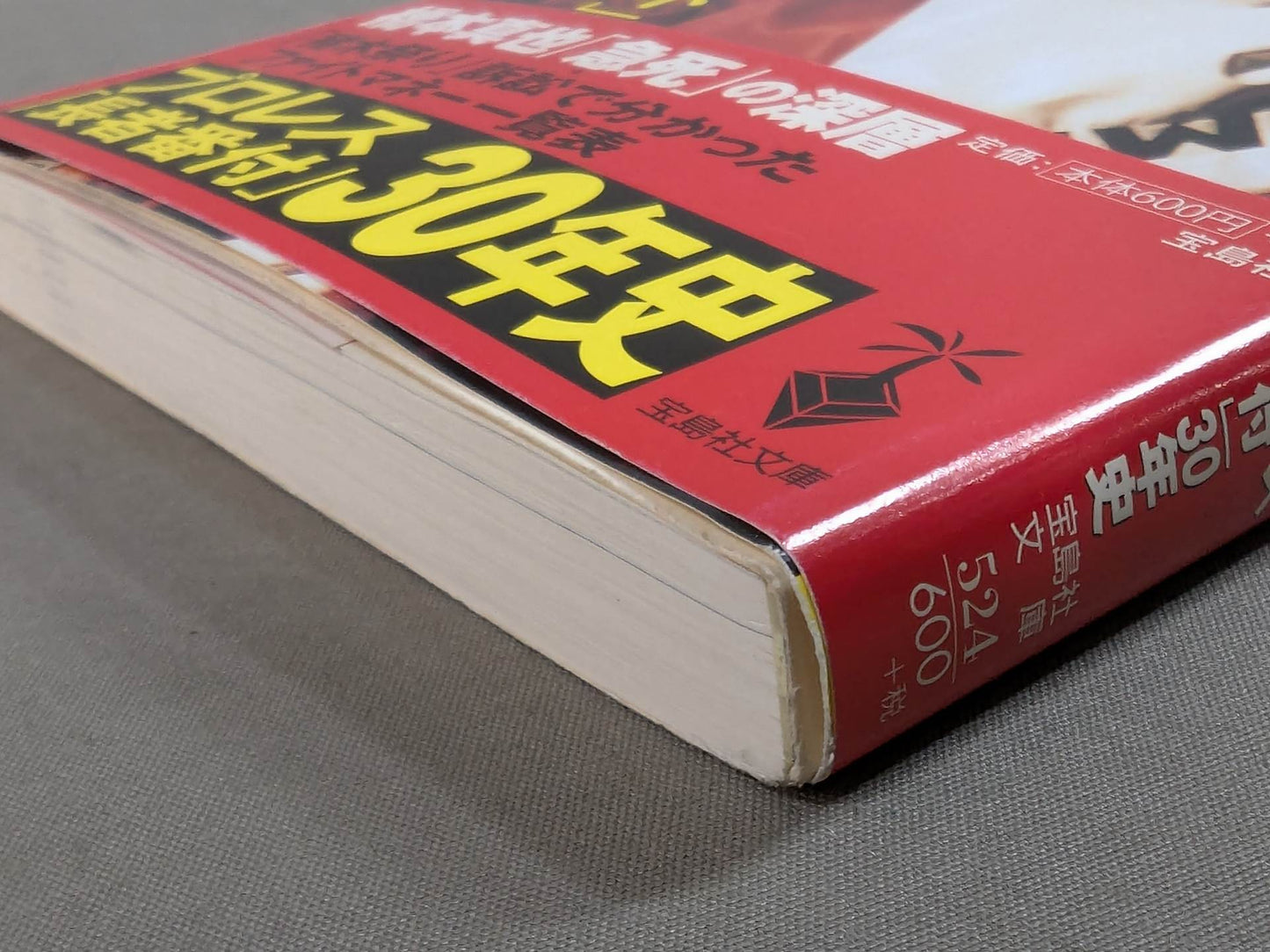 Pro Wrestling "Ring and Money" Behind the Scenes