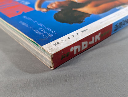 別冊プロレス 夏季号 秘蔵写真でつづる日本のプロレス