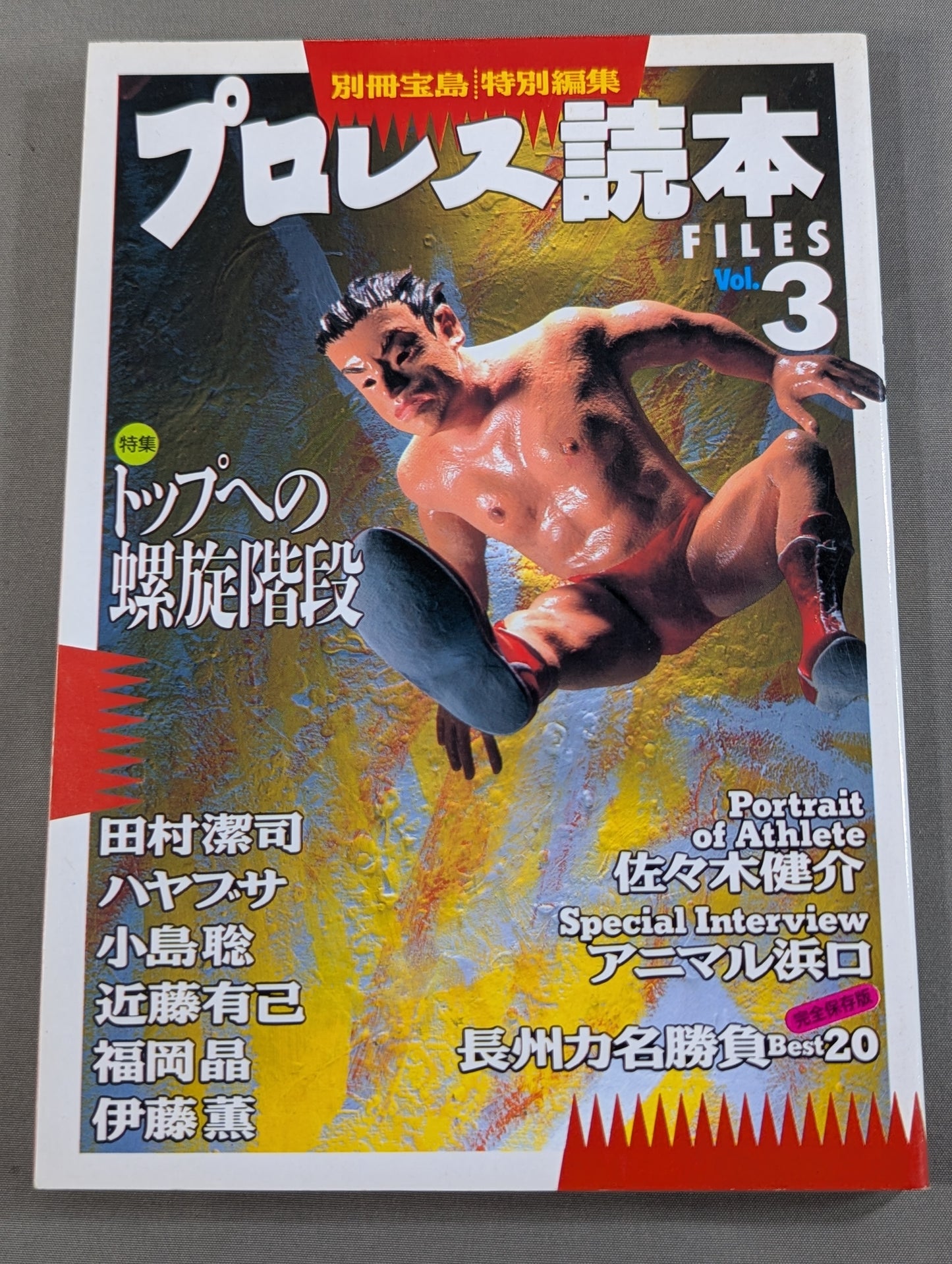 別冊宝島 特別編集 プロレス読本Files Vol.3