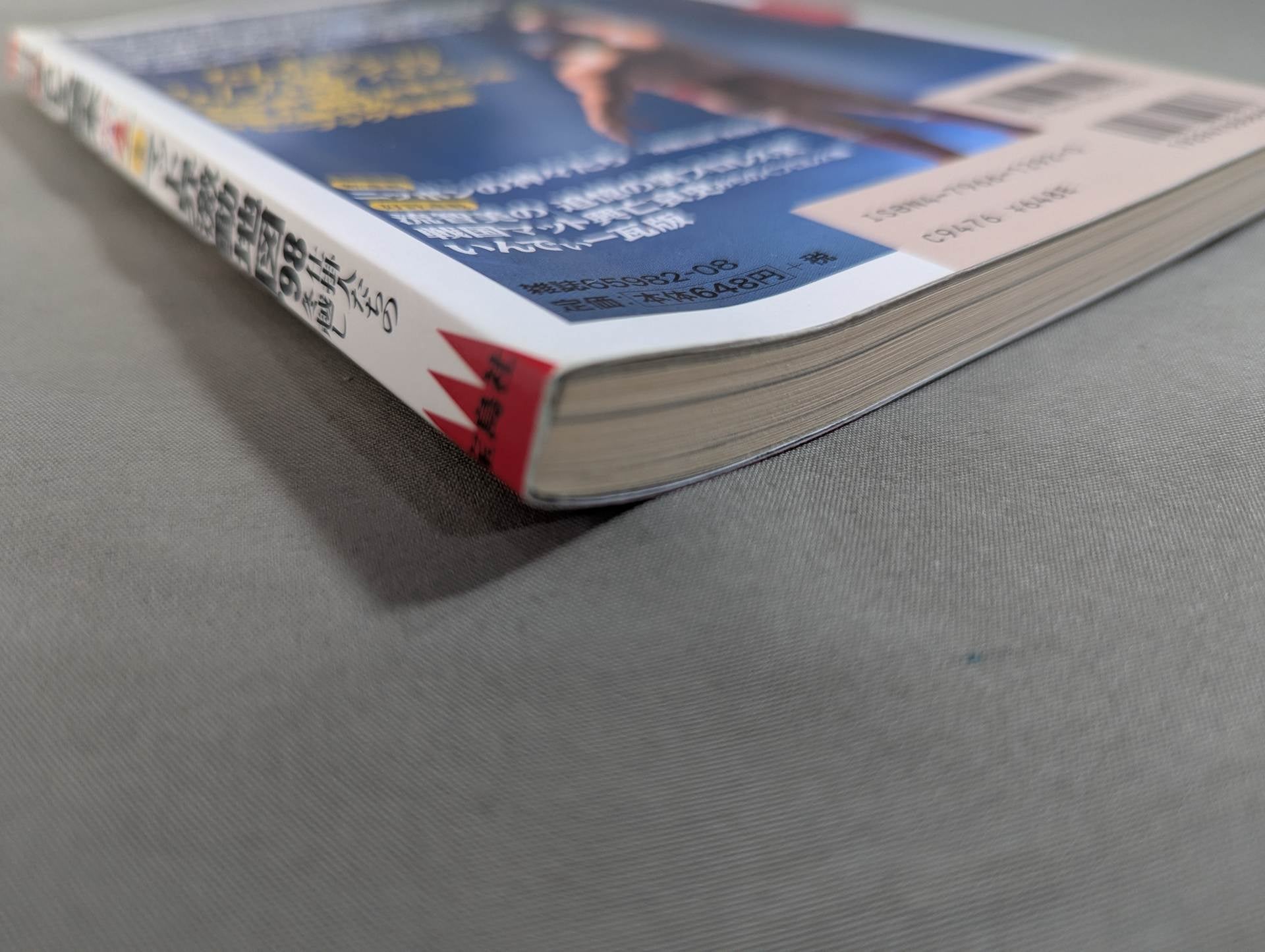 別冊宝島 特別編集 プロレス読本Files Vol.4 – 闘道館