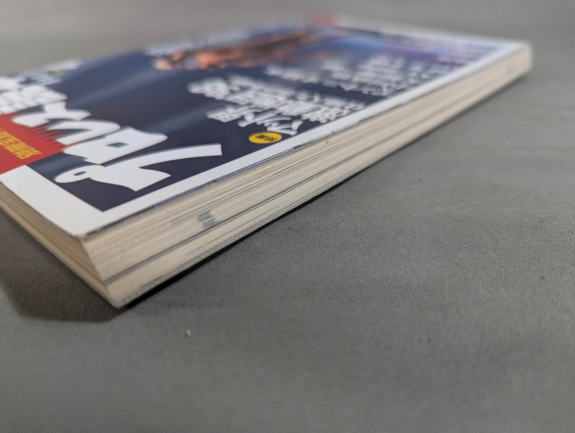 別冊宝島 特別編集 プロレス読本Files Vol.4 – 闘道館