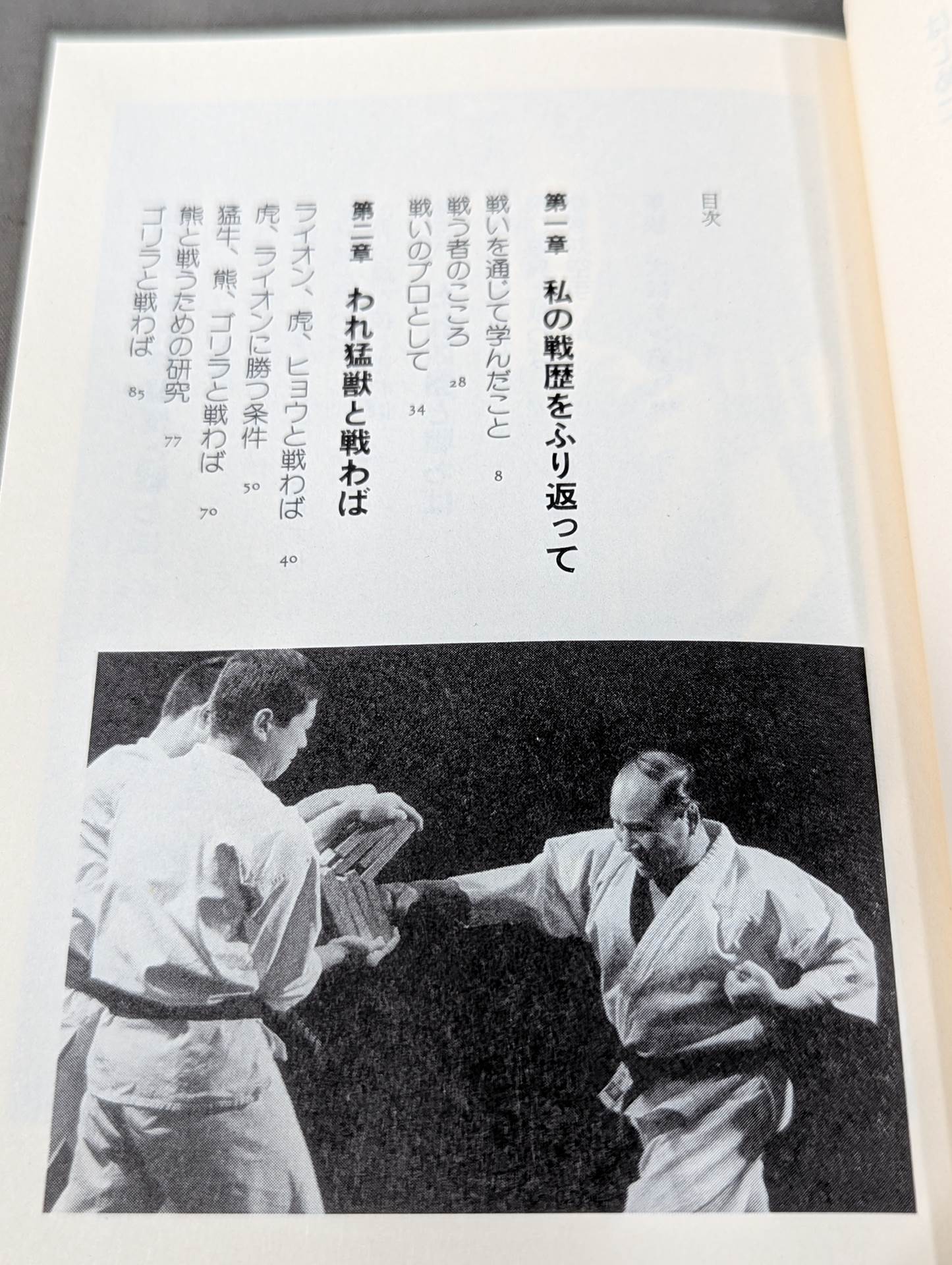 地上最強への道 大山カラテもし戦わば – 闘道館