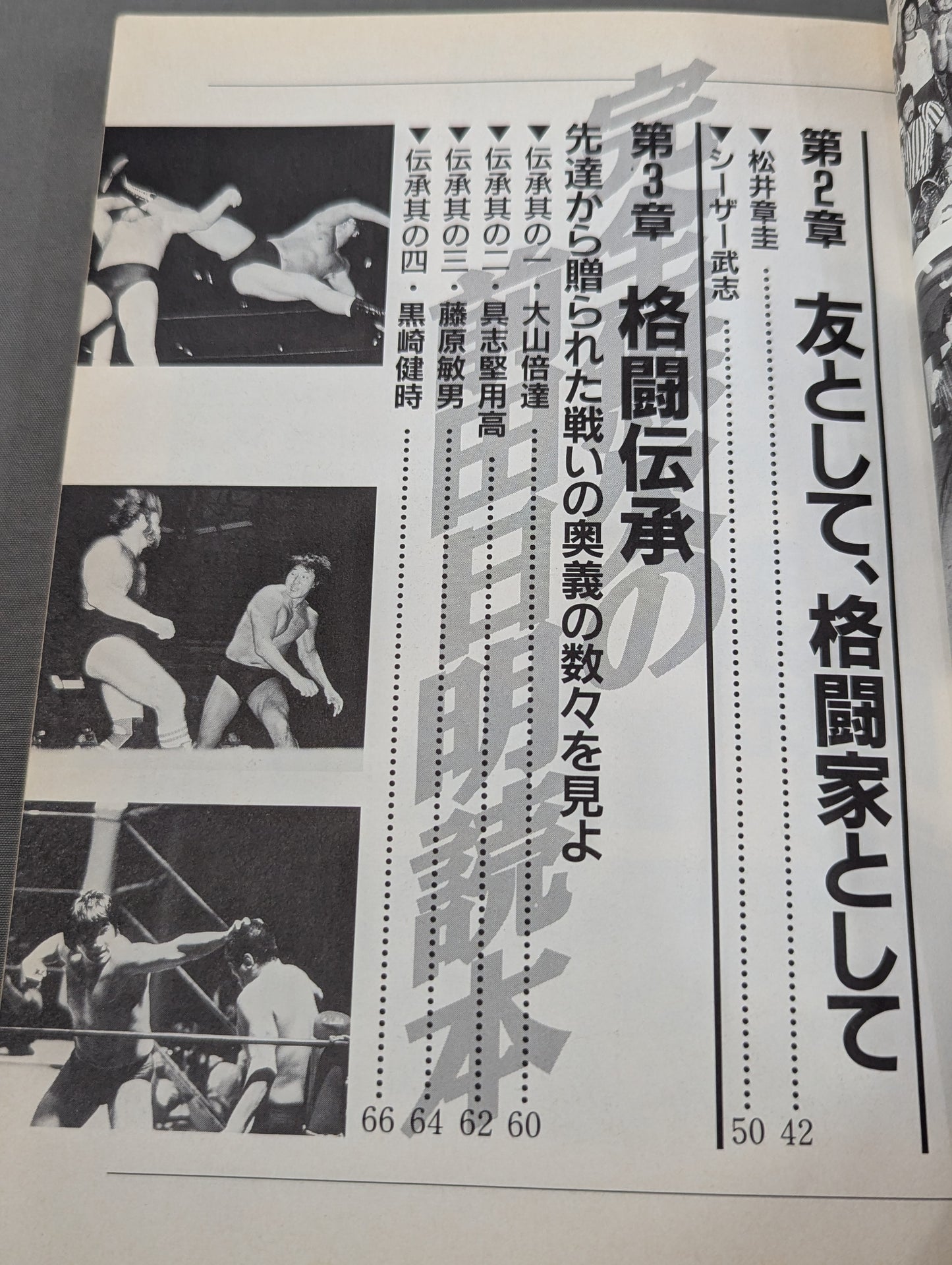 A flawless Akira Maeda  reading book
