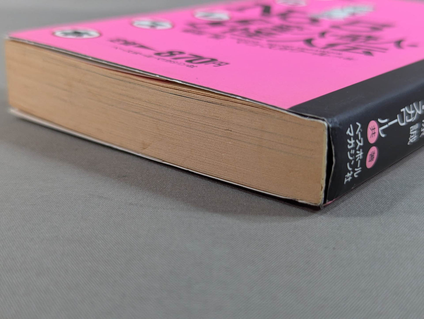 THE Pro Wrestling Book No.5 Misaki Town Weirdo, Strange Man, Monster Biography