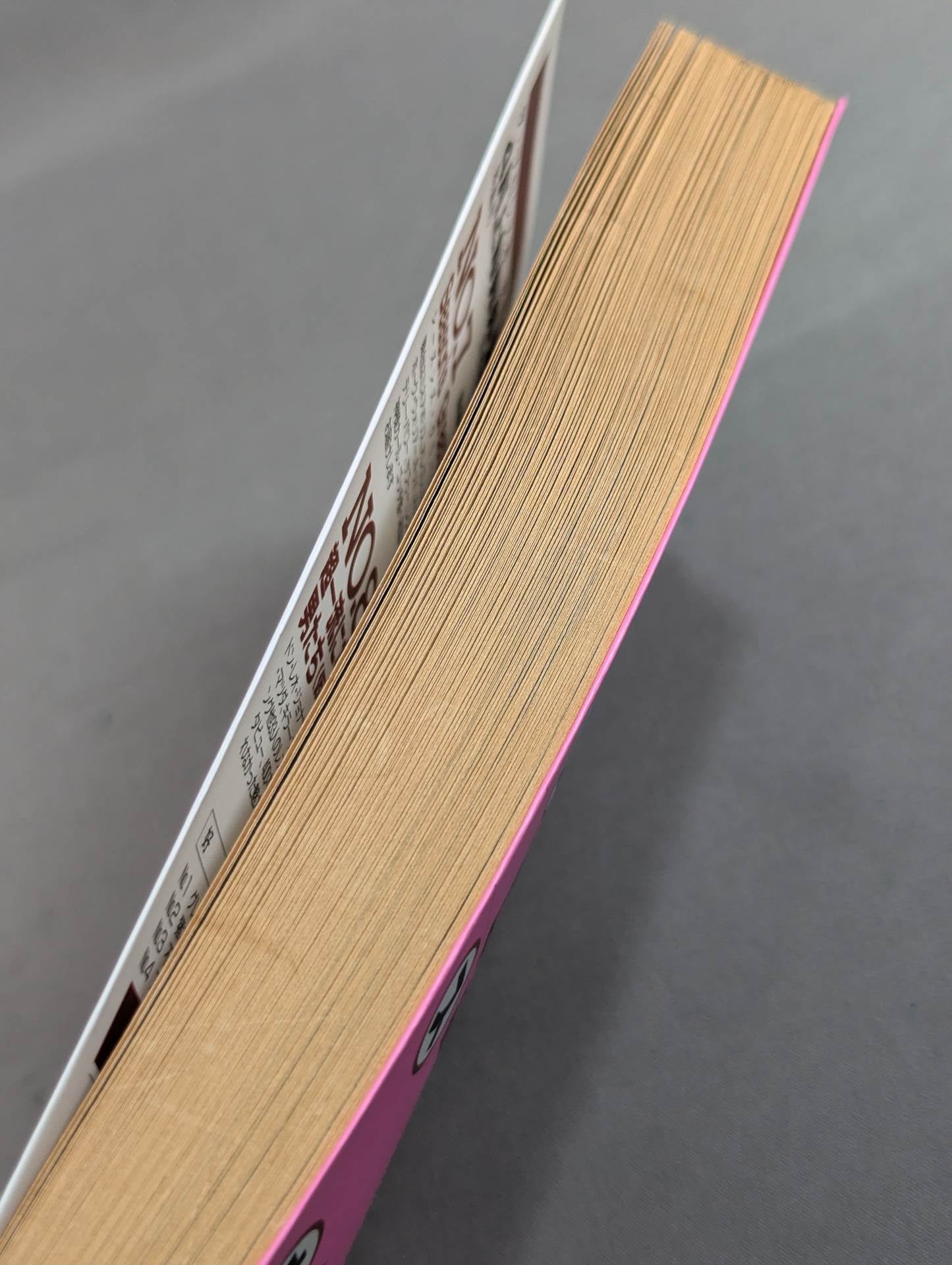 THE Pro Wrestling Book No.5 Misaki Town Weirdo, Strange Man, Monster Biography