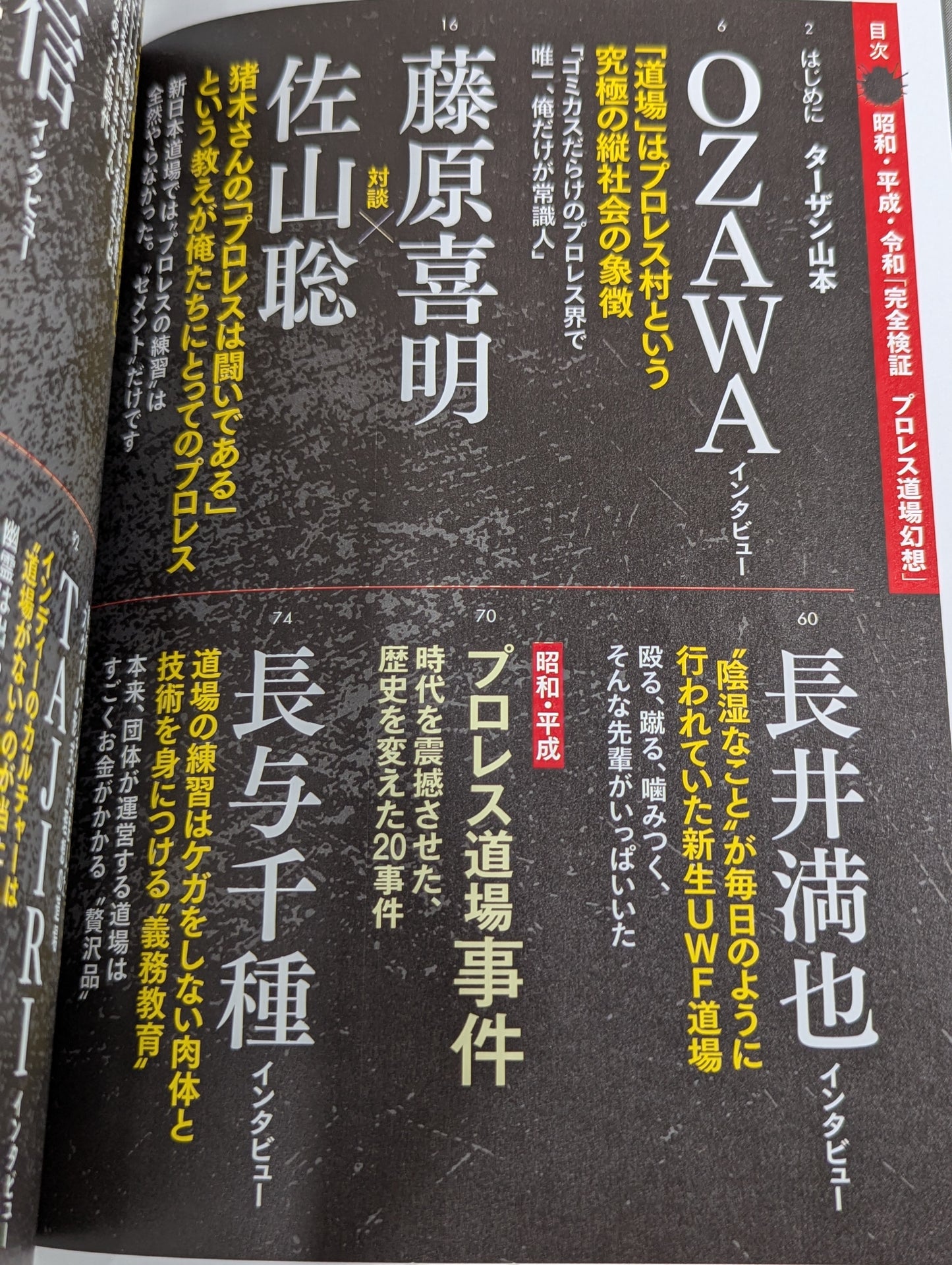 シリーズ 逆説のプロレス Vol.25  昭和 平成 令和「完全検証 プロレス道場 幻想」