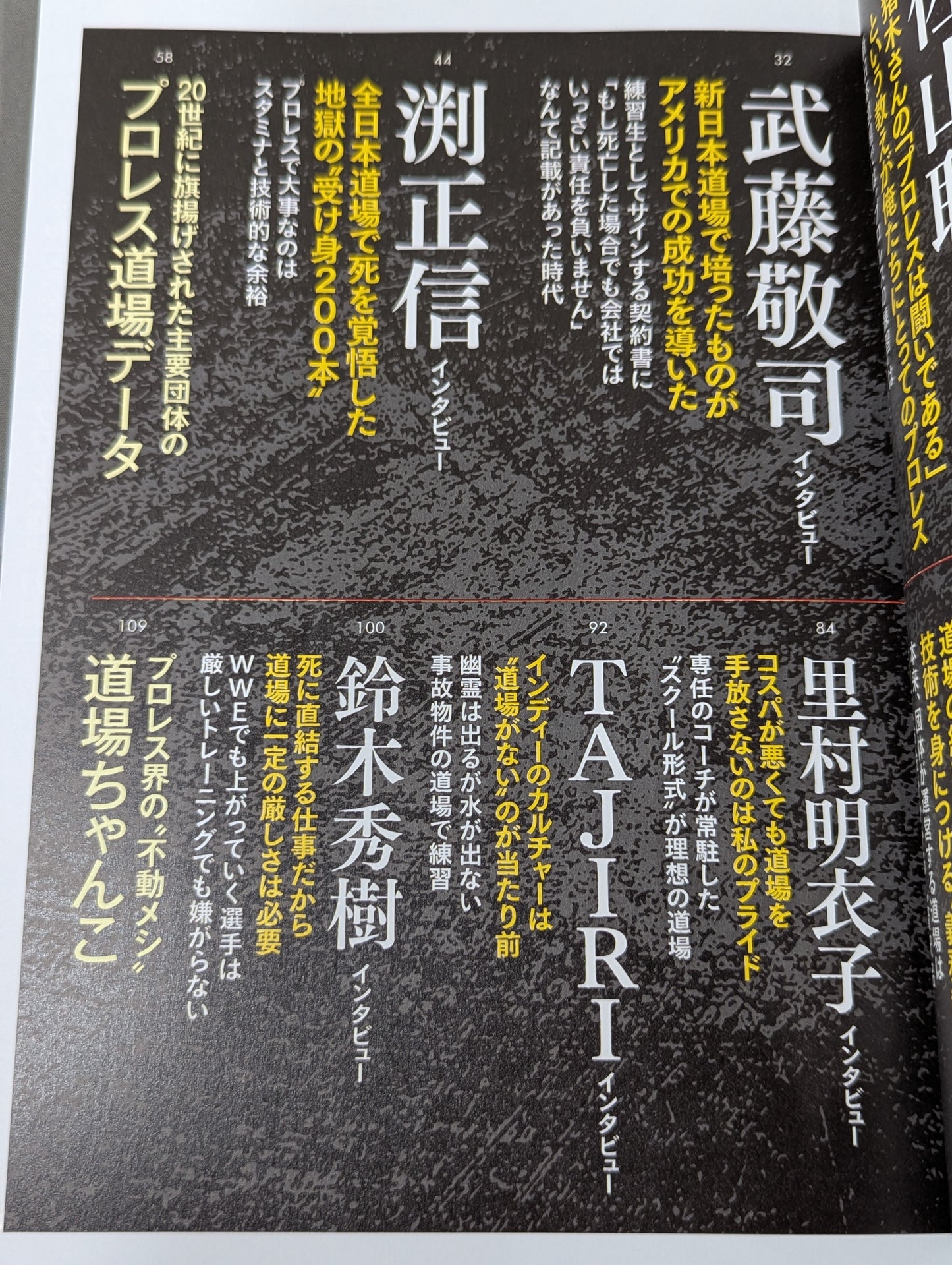 シリーズ 逆説のプロレス Vol.25  昭和 平成 令和「完全検証 プロレス道場 幻想」