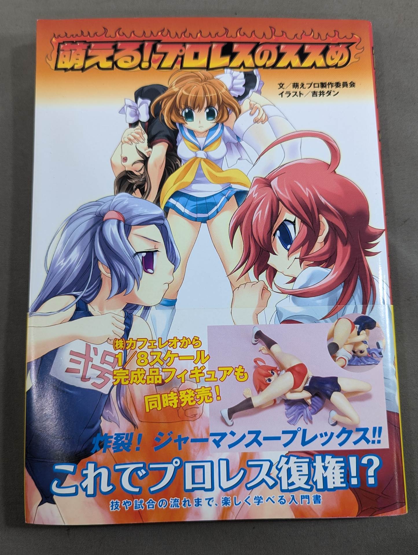 萌える!プロレスのススめ
