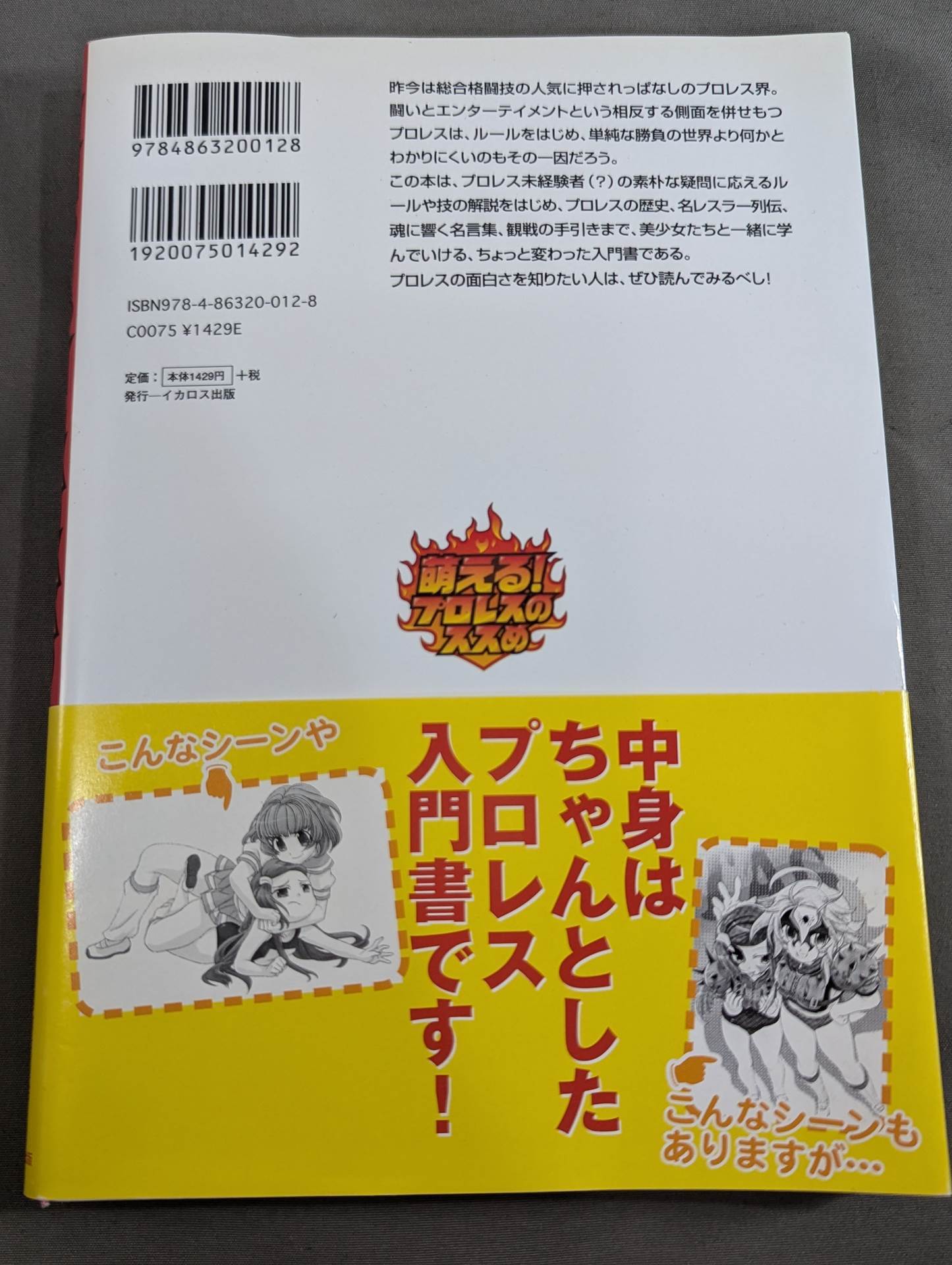 萌える!プロレスのススめ