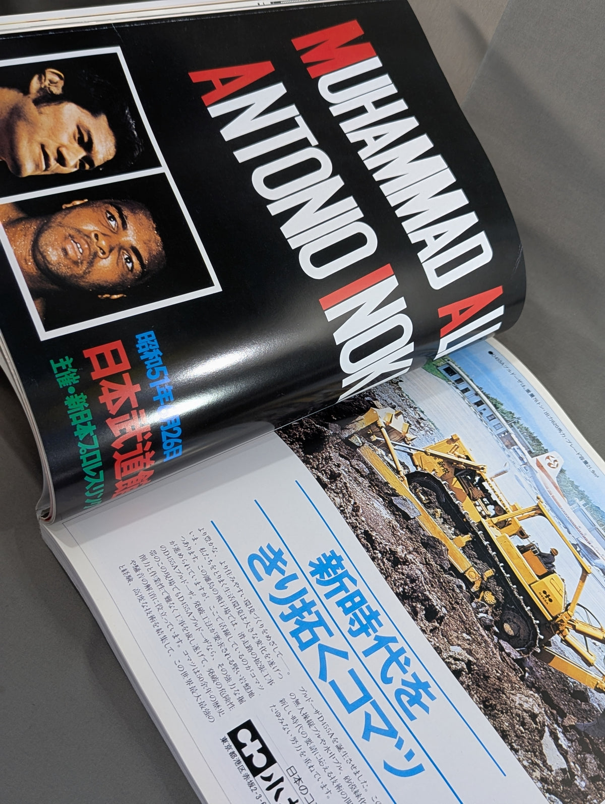 Burning Fighting Spirit New Japan Pro Wrestling Pro-wrestling 30th Anniversary Publication Project Official Reprint Pamphlet Series Martial Arts World Championship Fight