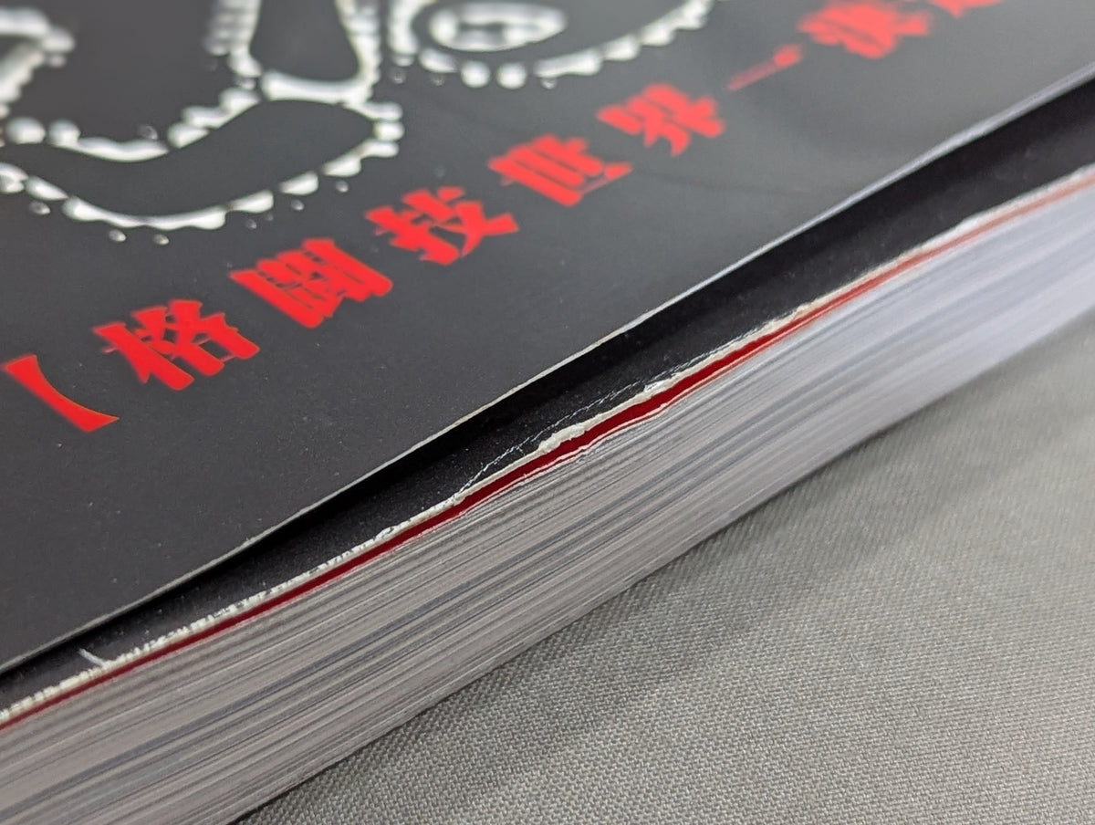 Burning Fighting Spirit New Japan Pro Wrestling Pro-wrestling 30th Anniversary Publication Project Official Reprint Pamphlet Series Martial Arts World Championship Fight