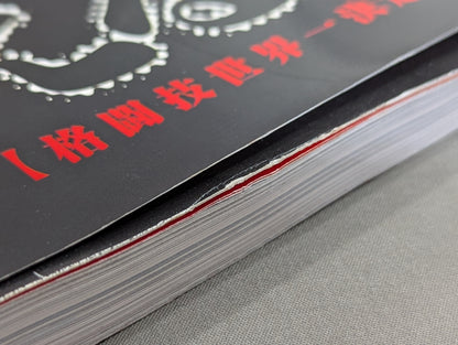 Burning Fighting Spirit New Japan Pro Wrestling Pro-wrestling 30th Anniversary Publication Project Official Reprint Pamphlet Series Martial Arts World Championship Fight