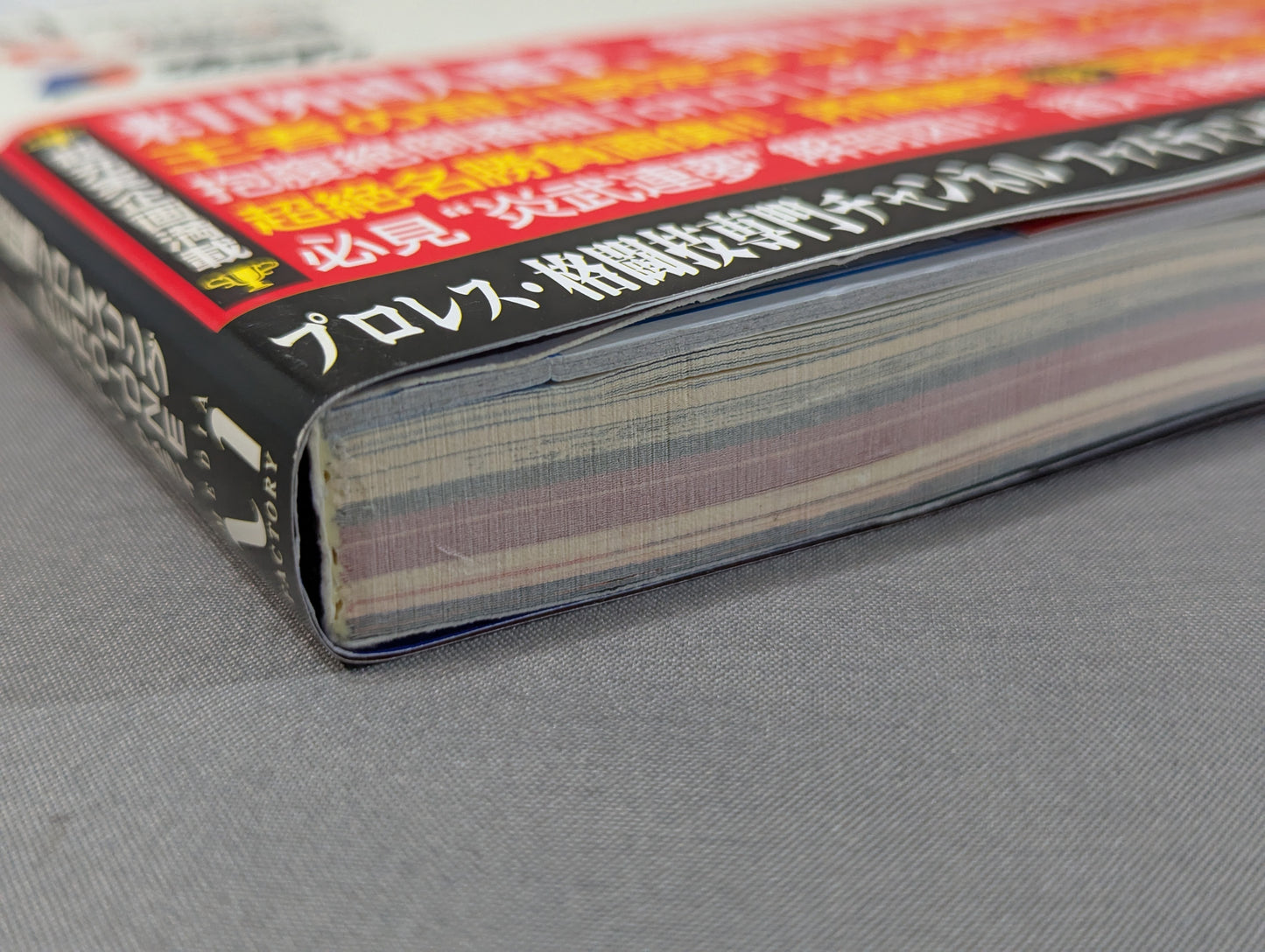 Shinya Hashimoto's Pro Wrestling Encyclopedia